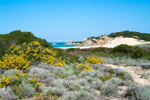 Spiaggia Monti d'à Rena